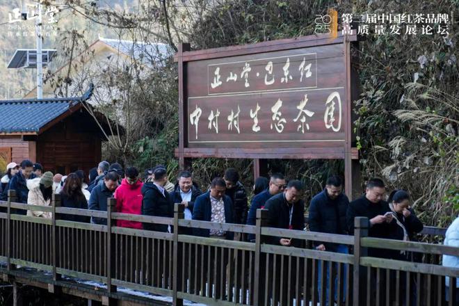 第二届中国红茶品牌高质量发展研讨会在湖北巴东举办(图27)